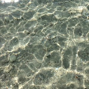 Meet your Posher, Josie